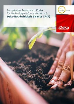 Europ&auml;ischer Transparenz Kodex f&uuml;r Nachhaltigkeitsfonds Version 4.0 Deka-Nachhaltigkeit Balance CF (A) - Deka Investments