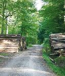 Bildungsangebot Umweltbildungsst&auml;tte Oberelsbach Ein Kosmos voller Leben! - Umweltbildung - Umweltbildungsst&auml;tte Oberelsbach