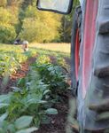 Bildungsangebot Umweltbildungsst&auml;tte Oberelsbach Ein Kosmos voller Leben! - Umweltbildung - Umweltbildungsst&auml;tte Oberelsbach