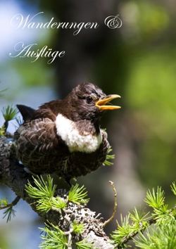 Wanderungen & Ausfl&uuml;ge - Das Rehlegg