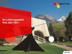 Ihr Leistungspaket f&uuml;rs Jahr 2021 - RailAway