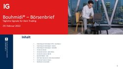 Bouhmidi - B&ouml;rsenbrief - T&auml;gliche Signale f&uuml;r Dein Trading 29. Februar 2022 - Salah Bouhmidi