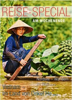 REISE-SPECIAL - Vietnam - Im Land von Onkel Ho Seite 6 - Apalis