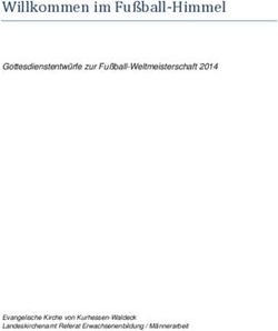 Willkommen im Fußball-Himmel - Gottesdienstentwürfe zur Fußball-Weltmeisterschaft 2014