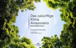 Das zukünftige Klima Amazoniens - ARA - Wissenschaftlicher Bericht Professor Antonio Donato Nobre - CCST/INPE