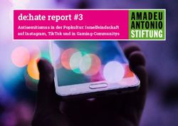 De:hate report #3 Antisemitismus in der Popkultur: Israelfeindschaft auf Instagram, TikTok und in Gaming-Communitys - Amadeu Antonio Stiftung