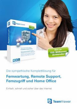 Fernwartung, Remote Support, Fernzugriff und Home Offi ce - Die sympathische Komplettl&ouml;sung f&uuml;r