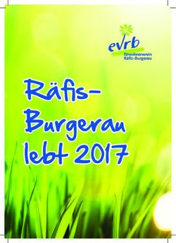 R&auml;fis-Burgerau lebt 2017 - Einwohnerverein R&auml;fis-Burgerau