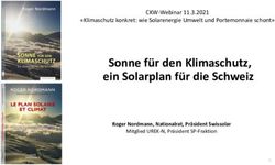 Sonne f&uuml;r den Klimaschutz, ein Solarplan f&uuml;r die Schweiz - CKW-Webinar 11.3.2021 "Klimaschutz konkret: wie Solarenergie Umwelt und Portemonnaie ...