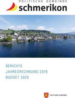 BERICHTE JAHRESRECHNUNG 2019 BUDGE T 2020 - POLITISCHE GEMEINDE - Gemeinde Schmerikon