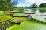 Brasiliens große Naturparadiese - Rundreise in Brasilien mit Amazonas-Kreuzfahrt vom 23. Februar bis 12. März 2019 - Hanseat Reisen