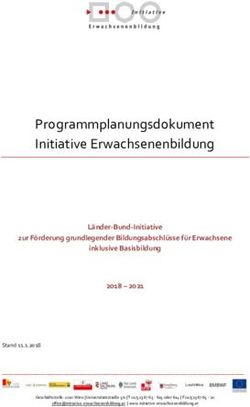 Programmplanungsdokument Initiative Erwachsenenbildung - wba