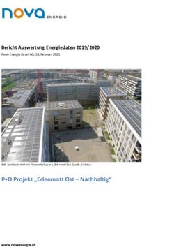 P+D Projekt "Erlenmatt Ost - Nachhaltig" - Bericht Auswertung Energiedaten 2019/2020