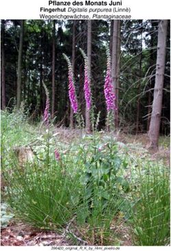 Pflanze des Monats Juni - Fingerhut Digitalis purpurea Linn&egrave; Wegerichgew&auml;chse, Plantaginaceae - Fingerhut Digitalis purpurea Linn&egrave; ...