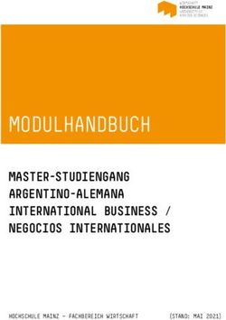 MODULHANDBUCH MASTER-STUDIENGANG ARGENTINO-ALEMANA INTERNATIONAL BUSINESS / NEGOCIOS INTERNATIONALES - Hochschule Mainz