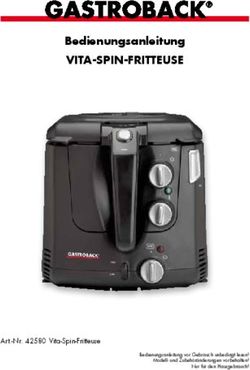 BEDIENUNGSANLEITUNG VITA-SPIN-FRITTEUSE - ART.-NR. 42580 VITA-SPIN-FRITTEUSE
