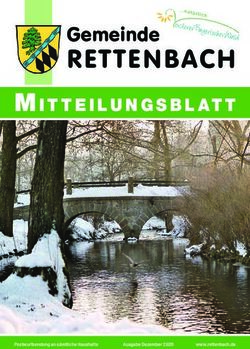 RETTENBACH GEMEINDE - POSTWURFSENDUNGANSÄMTLICHEHAUSHALTE AUSGABEDEZEMBER2020 WWW.RETTENBACH.DE - GEMEINDE RETTENBACH