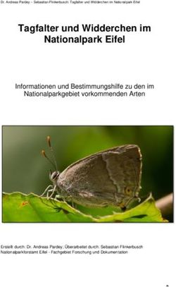 Tagfalter und Widderchen im Nationalpark Eifel - Informationen und Bestimmungshilfe zu den im Nationalparkgebiet vorkommenden Arten