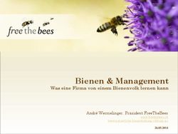 Bienen & Management Was eine Firma von einem Bienenvolk lernen kann - André Wermelinger, Präsident FreeTheBees