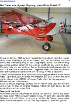 Der Traum vom eigenen Flugzeug, einem Kitfox Classic IV