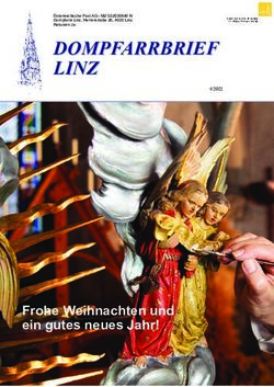 DDOOMMPPFFAARRRRBBRRIIEEFF LLIINNZZ - Frohe Weihnachten und ein gutes neues Jahr!