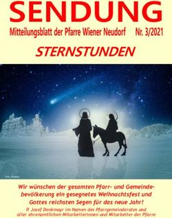 STERNSTUNDEN - Pfarre Wiener Neudorf