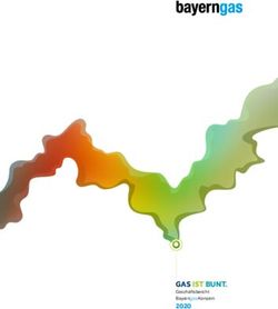 GAS IST BUNT. 2020 Bayerngas-Konzern