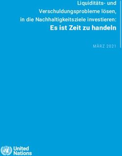 Es ist Zeit zu handeln - Liquidit&auml;ts- und Verschuldungsprobleme l&ouml;sen, in die Nachhaltigkeitsziele investieren: the United Nations