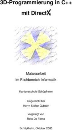Mit Direct XXXX 3D-Programmierung in C++ - Maturaarbeit im Fachbereich Informatik