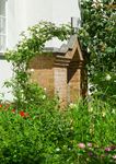 Die GEWIWO in voller Bl&uuml;te - GEWIWO
