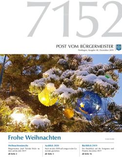 Frohe Weihnachten - Gemeinde Pamhagen