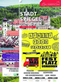 STADT SPIEGEL SIGMARINGEN - Stadt Sigmaringen