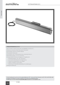 KETTENANTRIEBE KS15 - Aum&uuml;ller Aumatic GmbH