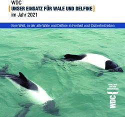 WDC UNSER EINSATZ FÜR WALE UND DELFINE - im Jahr 2021 Eine Welt, in der alle Wale und Delfine in Freiheit und Sicherheit leben.