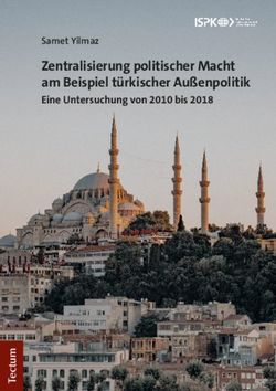 Zentralisierung politischer Macht am Beispiel t&uuml;rkischer Au&szlig;enpolitik - Eine Untersuchung von 2010 bis 2018