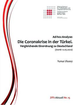 Die Coronakrise in der T&uuml;rkei - Ad-hoc-Analyse: Yunus Ulusoy