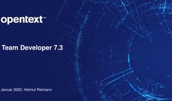 TEAM DEVELOPER 7.3 - JANUAR 2020, HELMUT REIMANN OPENTEXT CONFIDENTIAL ...
