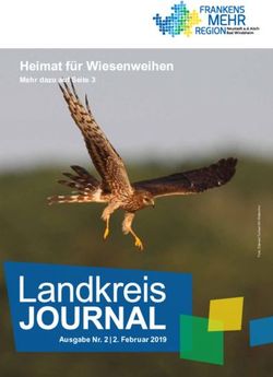 Heimat für Wiesenweihen - Mehr dazu auf Seite 3 - Bad ...