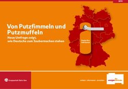 Von Putzfimmeln und Putzmuffeln - Neue Umfrage zeigt, wie Deutsche zum Saubermachen stehen - Minijob-Zentrale