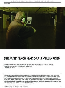 DIE JAGD NACH GADDAFIS MILLIARDEN - Gebrueder Beetz