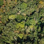 Hil-fe, Hil-fe, ruft's aus dem Wald - WOCHE WALD Machen Sie d e