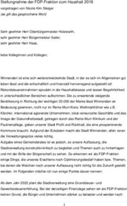 Stellungnahme der FDP-Fraktion zum Haushalt 2019 - Stadt ...