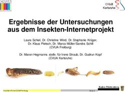 Ergebnisse der Untersuchungen aus dem Insekten-Internetprojekt