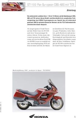 ST1100 Pan European CBS-ABS mit TCS
