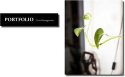 PORTFOLIO Livio Baumgartner