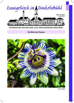 Die Bl&uuml;te der Passion - INFORMATIONEN AUS DER EVANG.-LUTH. KIRCHENGEMEINDE DINKELSB&Uuml;HL