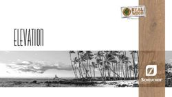 ELEVATION - Scheucher Parkett