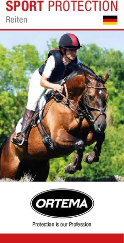 SPORT PROTECTION Reiten - Protection is our Profession - Ortema