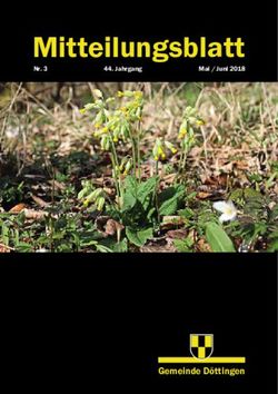 Mitteilungsblatt - Gemeinde Döttingen - Nr. 3 - Gemeinde Döttingen