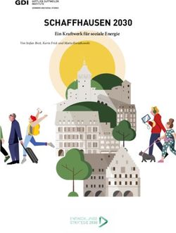 SCHAFFHAUSEN 2030 Ein Kraftwerk f&uuml;r soziale Energie - Von Stefan Breit, Karin Frick und Marta Kwiatkowski - Entwicklungsstrategie 2030